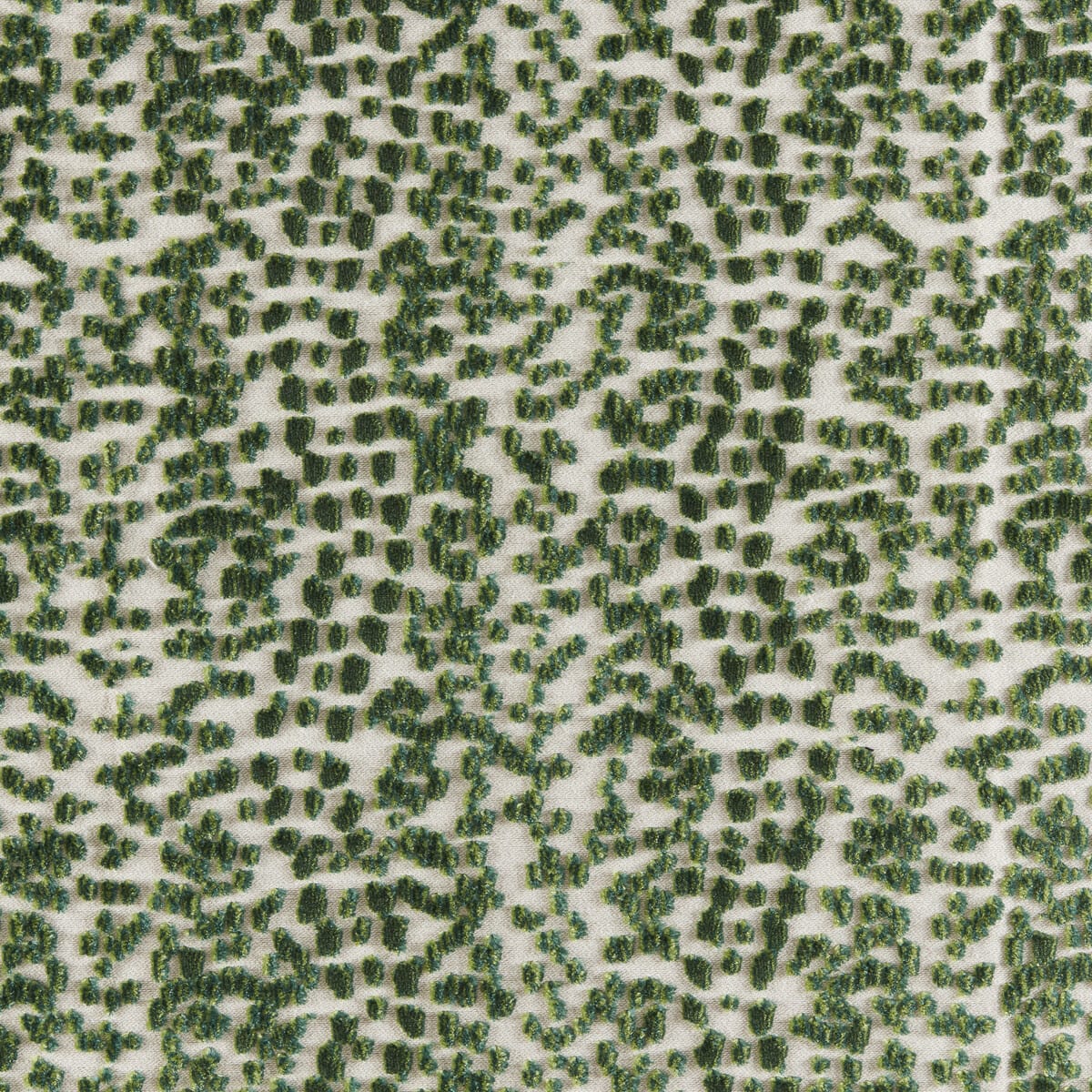 8025101330-les-touches-velvet-green-brunschwig-fils - BRUNSCHWIG & FILS Fabric