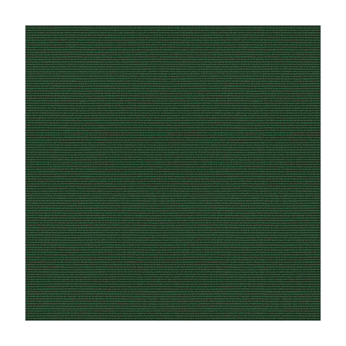 br-838064880-bosporus-ottoman-texture-forest-brunschwig-fils - BRUNSCHWIG & FILS Fabric