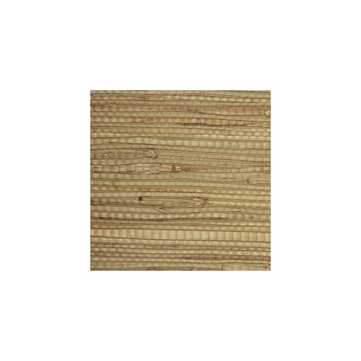 wse1240wt0-winfield-thybony-wse1240-wt-winfield-thybony - WINFIELD THYBONY Wallpaper
