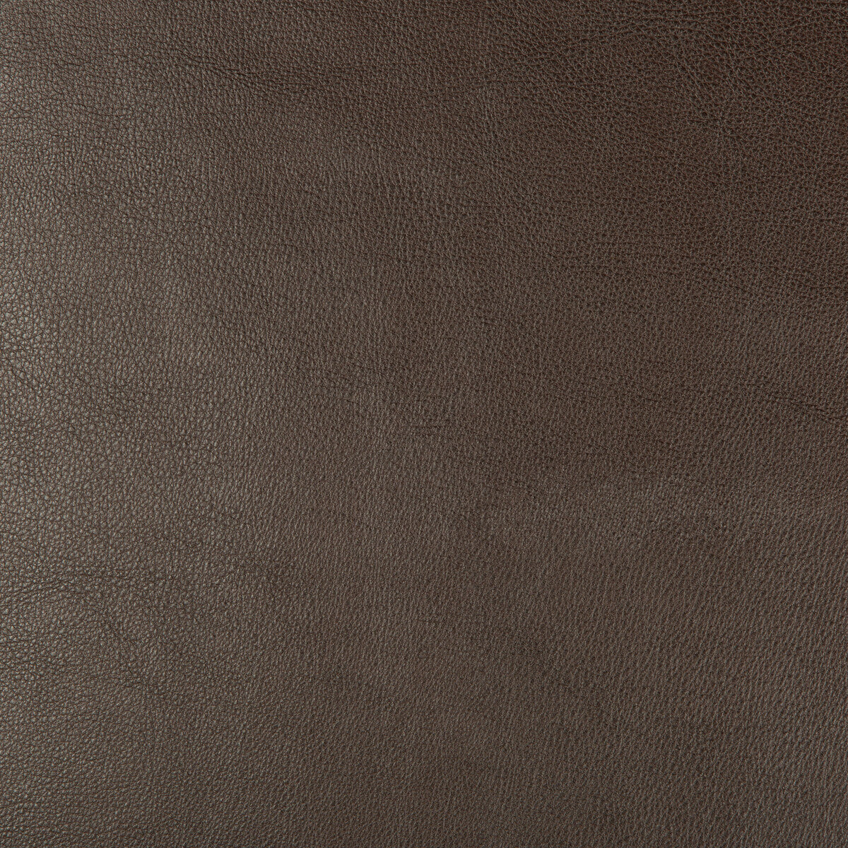 dust660-kravet-design-dust-66-kravet-design - KRAVET DESIGN Fabric