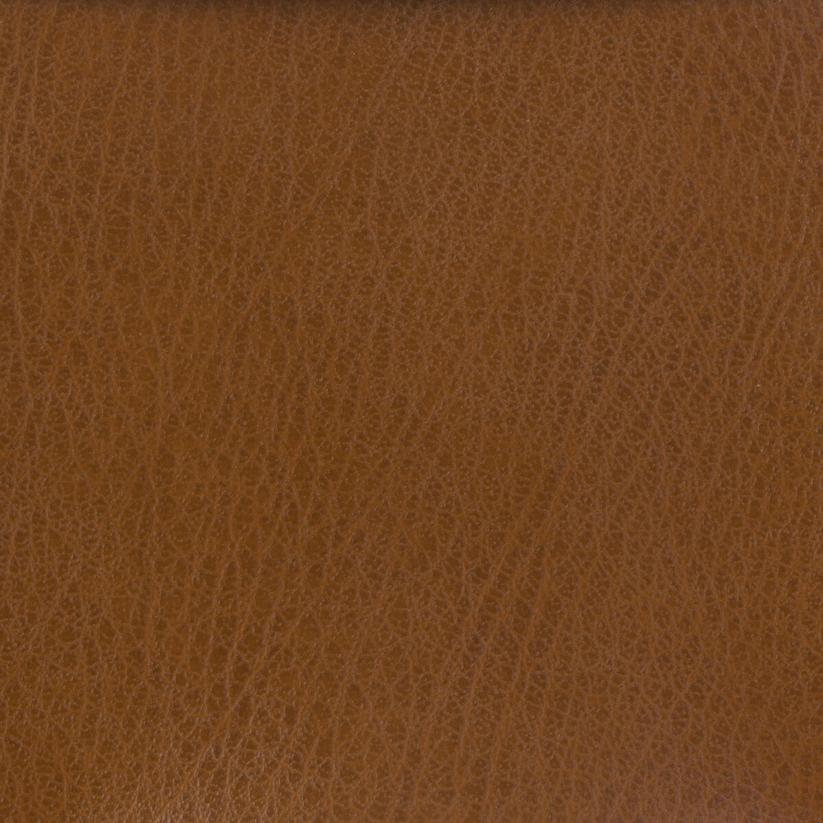 celine60-kravet-basics-celine-6 - KRAVET BASICS Fabric