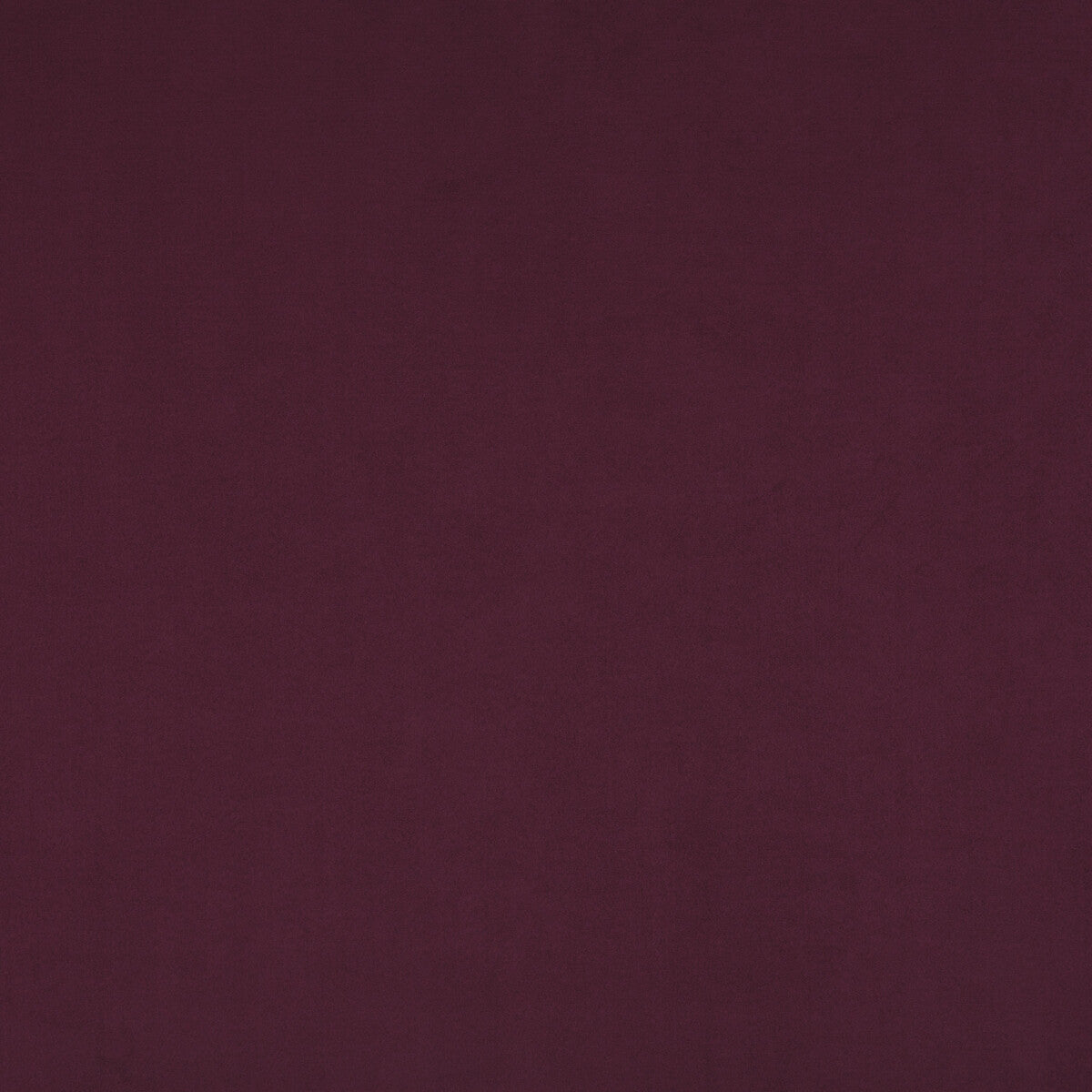 pf504155950-maddox-deep-purple-baker-lifestyle