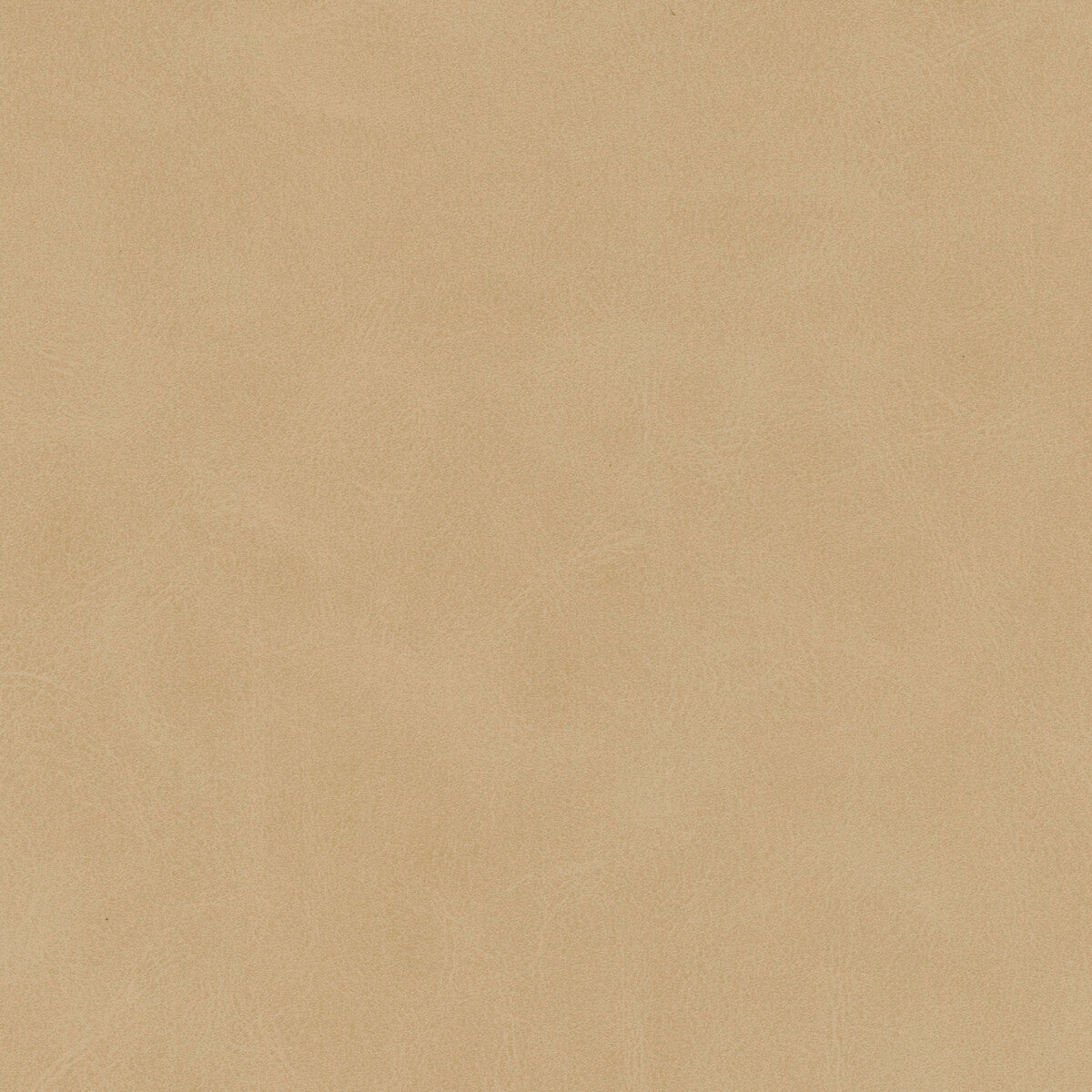 mojari110-kravet-design-mojari-11-kravet-design