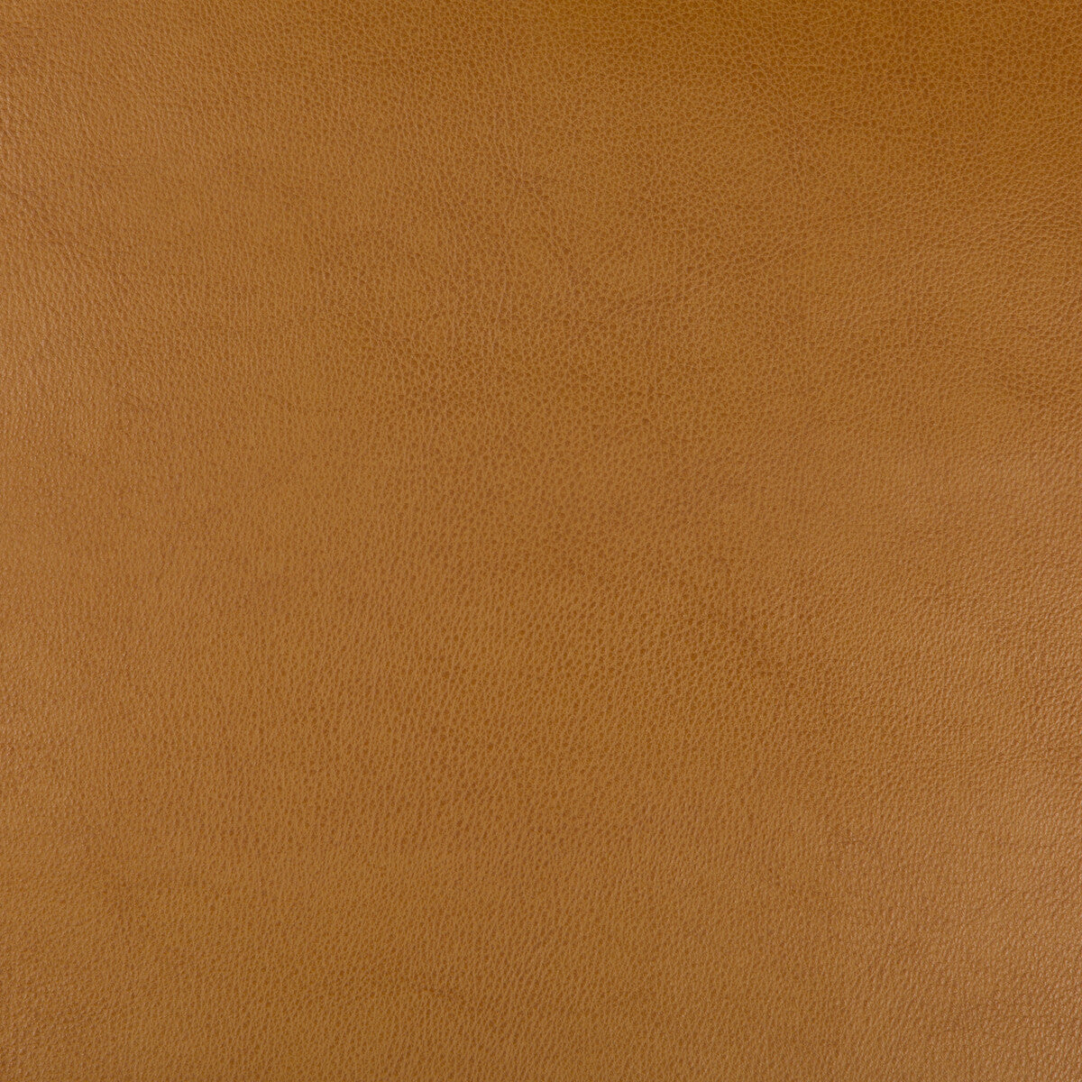 dust6240-kravet-design-dust-624-kravet-design - KRAVET DESIGN Fabric
