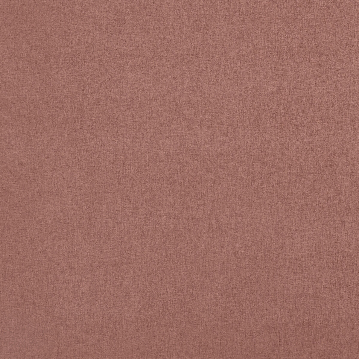 f084804cac0-highlander-cameo-clarke-and-clarke - CLARKE AND CLARKE Fabric