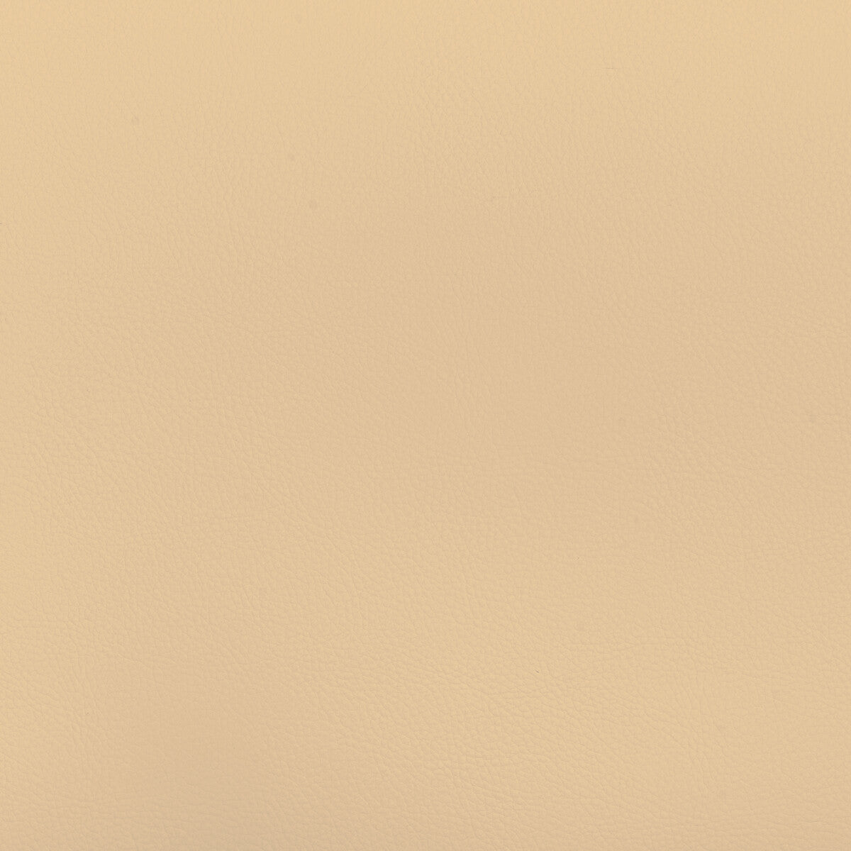 beech160-kravet-design-beech-16-kravet-design