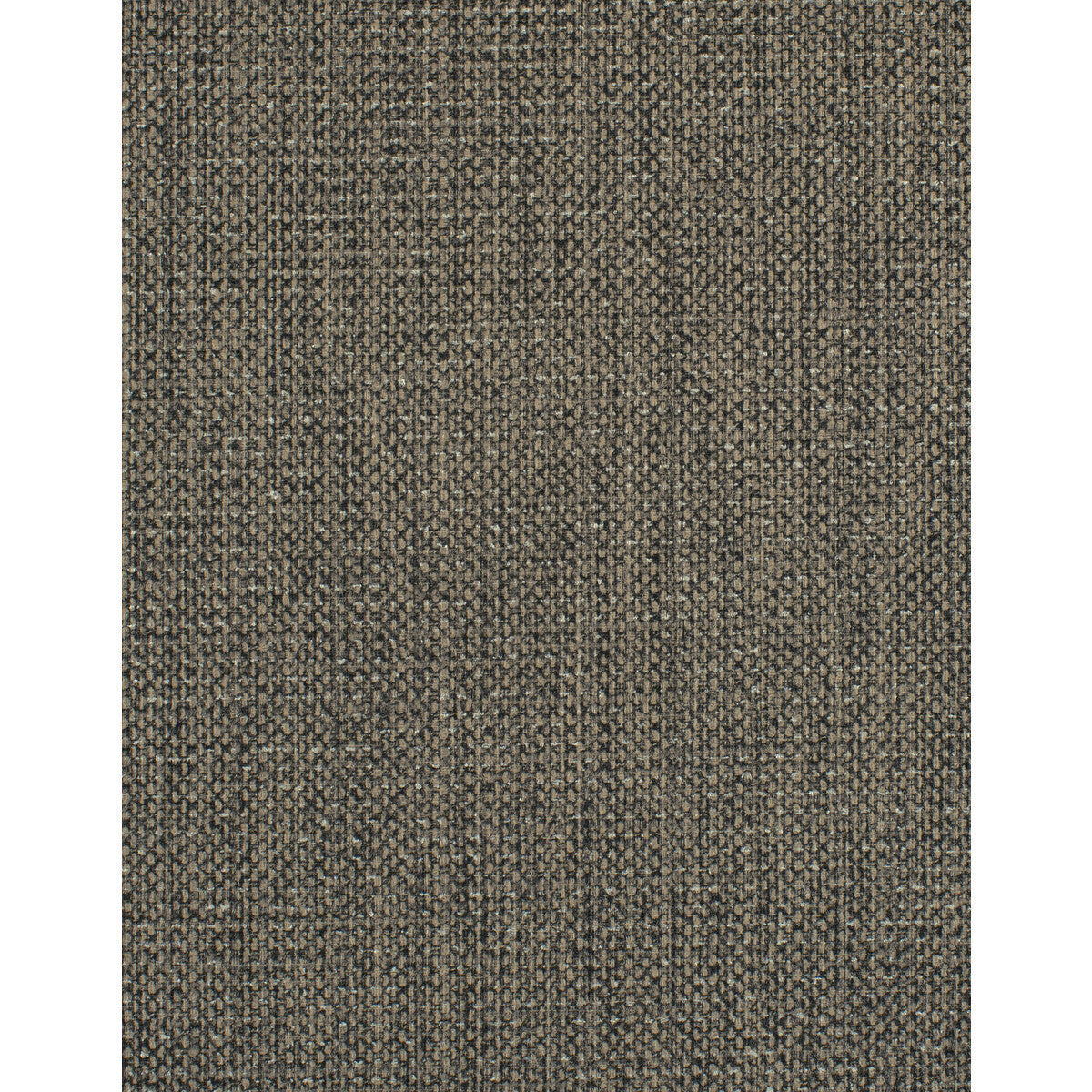 whf1709wt0-conway-bark-winfield-thybony - WINFIELD THYBONY Wallpaper