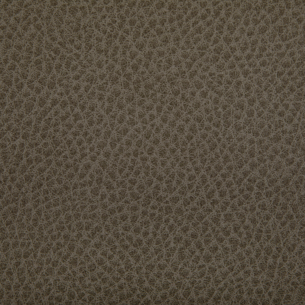 woolf1060-woolf-etruscan-kravet-contract - KRAVET CONTRACT Fabric