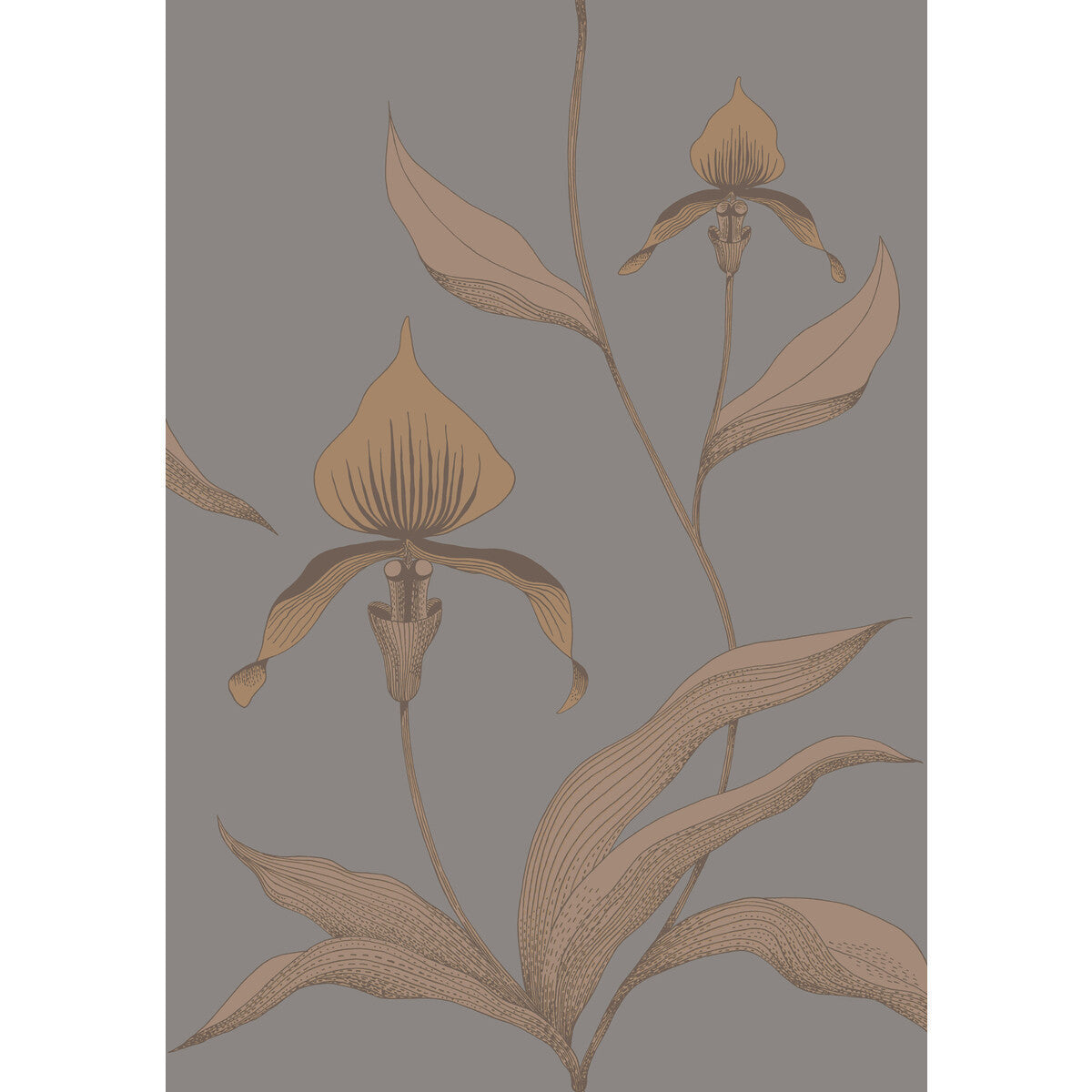 9510056cs0-orchid-bronzeslate-cole-son - COLE & SON Wallpaper