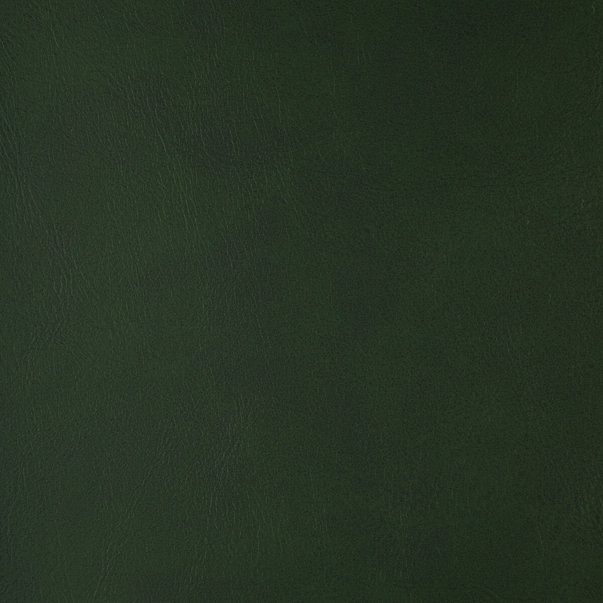 alum330-kravet-design-alum-33-kravet-design