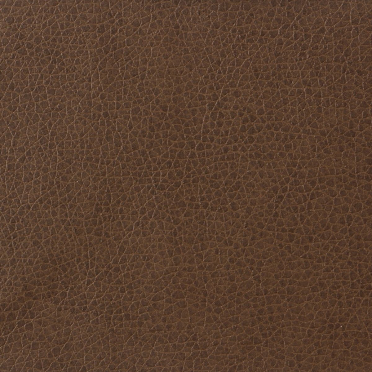 matter60-kravet-basics-matter-6