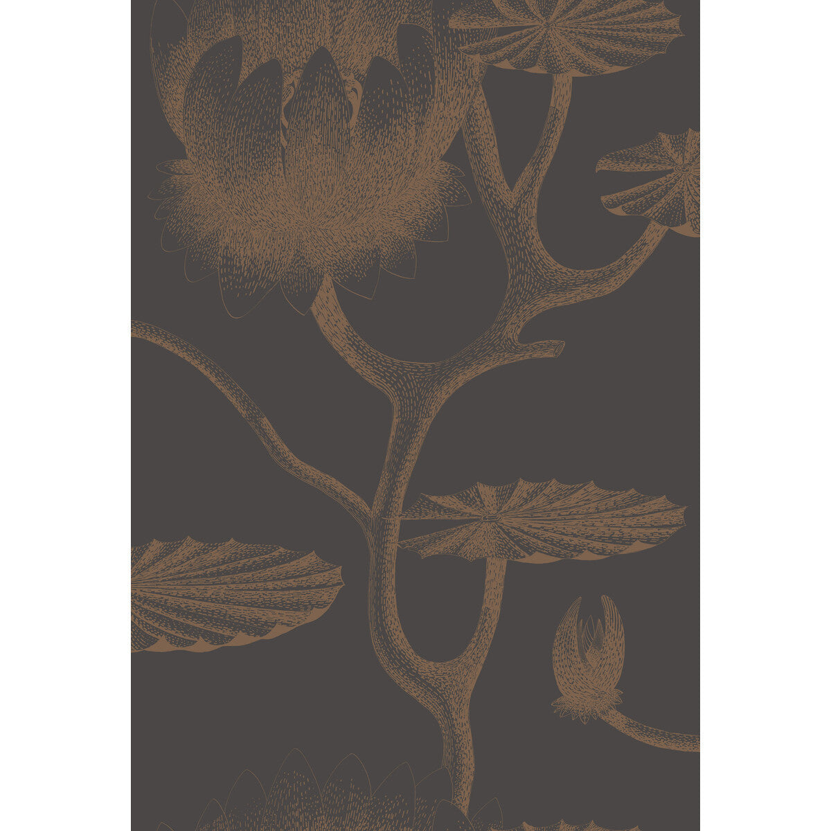 954021cs0-lily-blackbronze-cole-son - COLE & SON Wallpaper