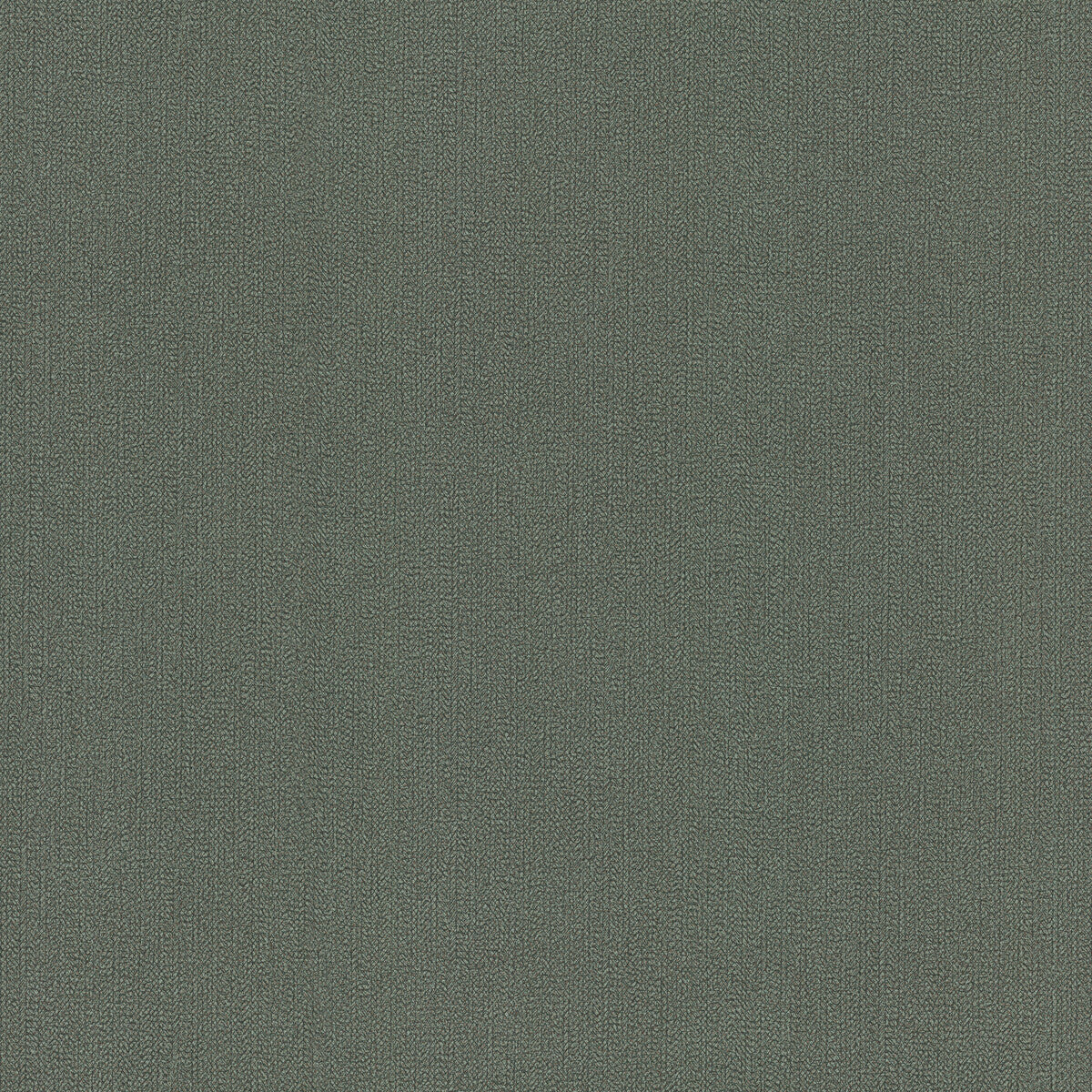 whf4058wt0-varola-juniper-winfield-thybony - WINFIELD THYBONY Wallpaper