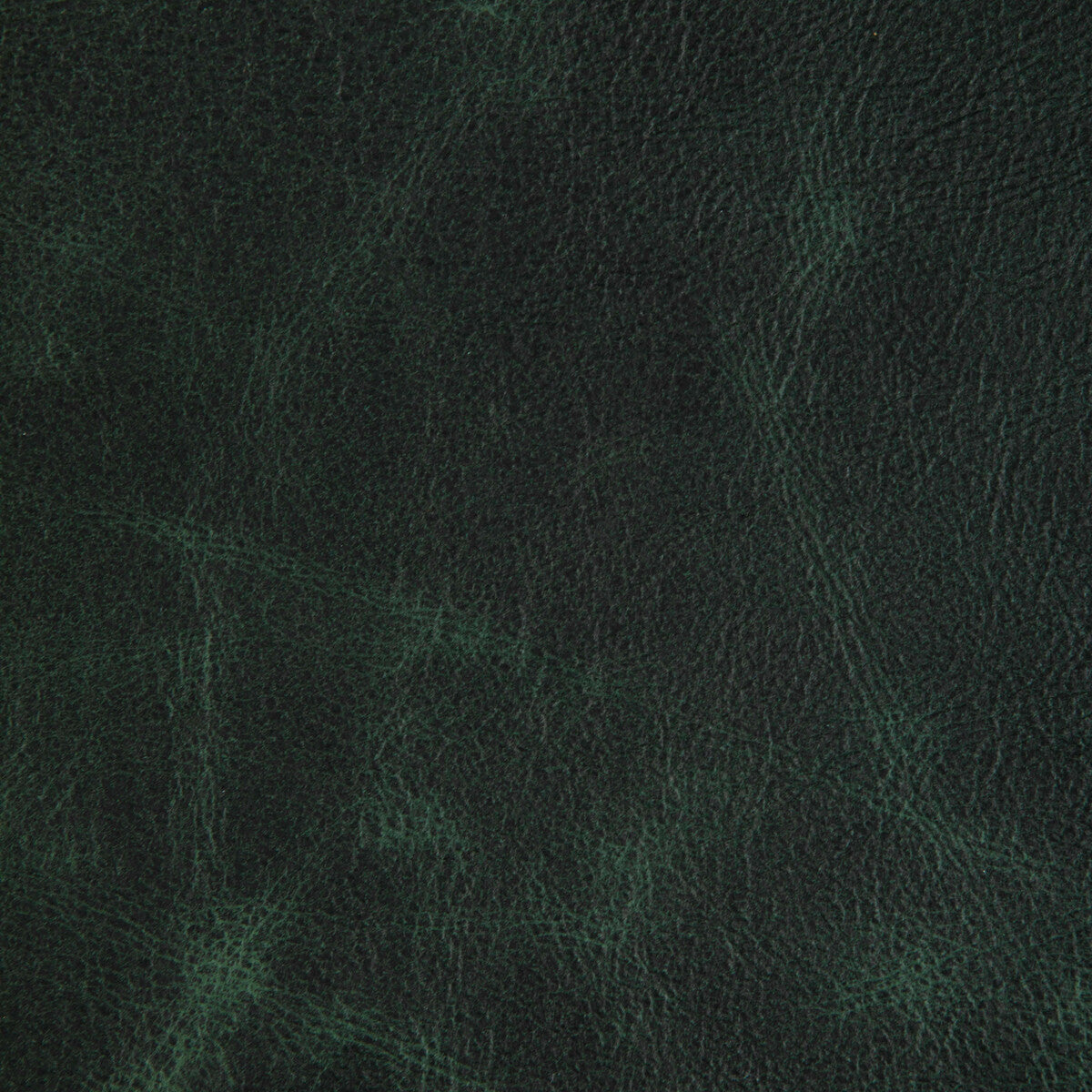 l-ovinehunter0-kravet-design-l-ovine-hunter-kravet-design