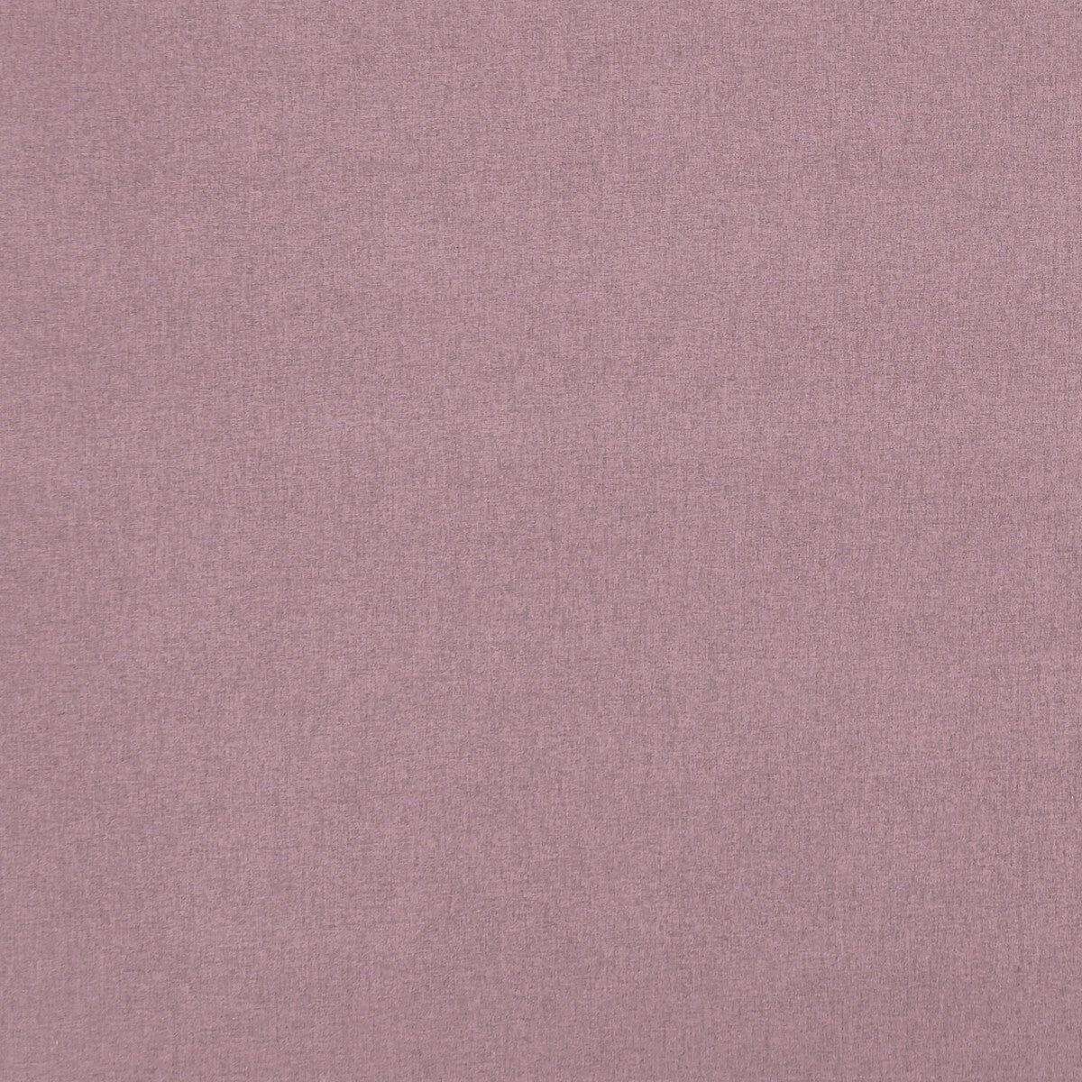 f084823cac0-highlander-orchid-clarke-and-clarke - CLARKE AND CLARKE Fabric