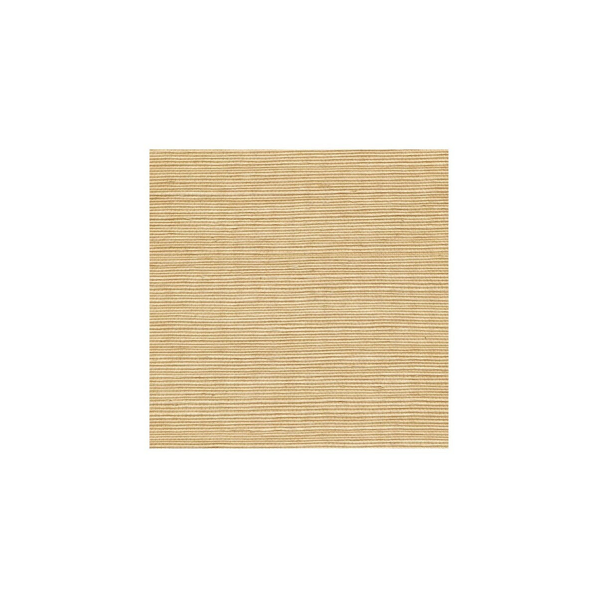 wss4509wt0-sisal-wheat-winfield-thybony