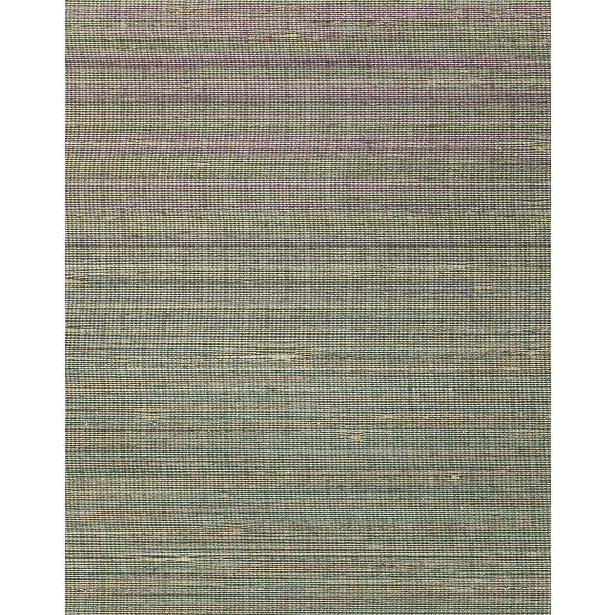 wns5562wt0-ambrose-stone-winfield-thybony - WINFIELD THYBONY Wallpaper