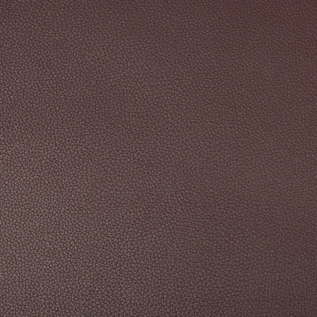 syrus10100-syrus-plum-kravet-contract