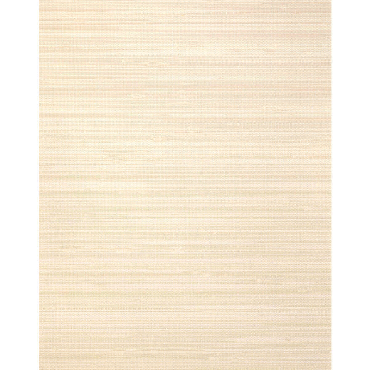 wns5541wt0-misheo-apricot-winfield-thybony - WINFIELD THYBONY Wallpaper