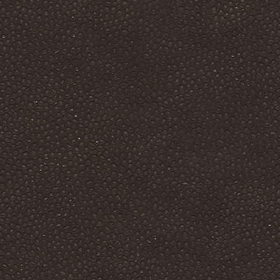 edgy-shark60-edgy-shark-espresso-kravet-couture - KRAVET COUTURE Fabric