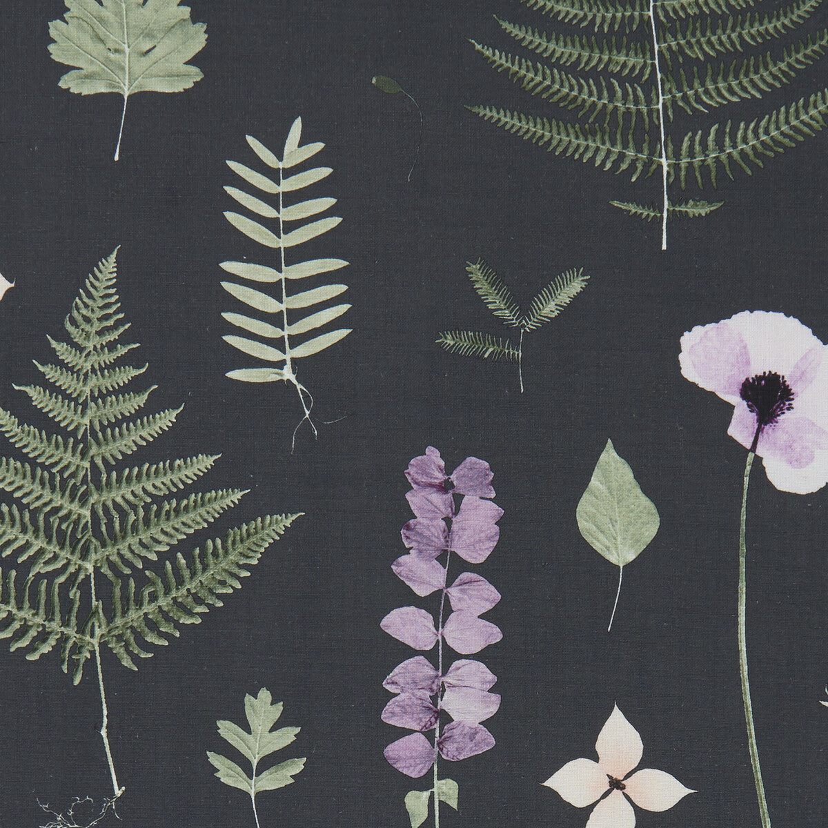f108903cac0-herbarium-heatherebony-clarke-and-clarke