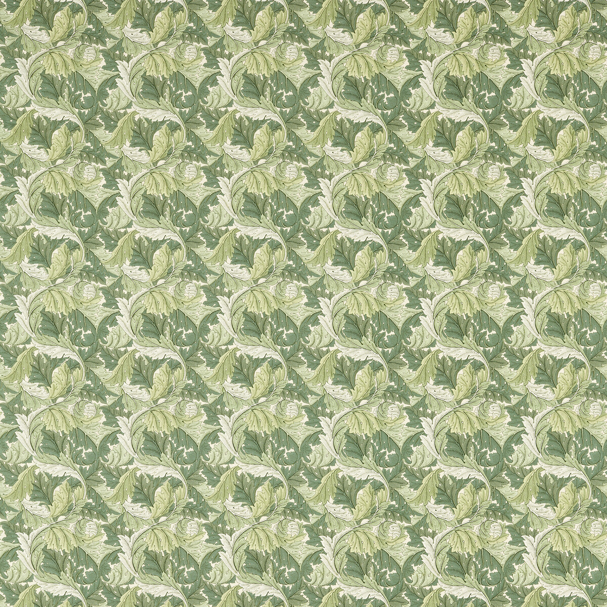 f168102cac0-acanthus-applesage-clarke-and-clarke