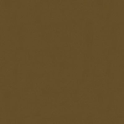 br-897798350-lubeck-cotton-velvet-hazlnut-brunschwig-fils