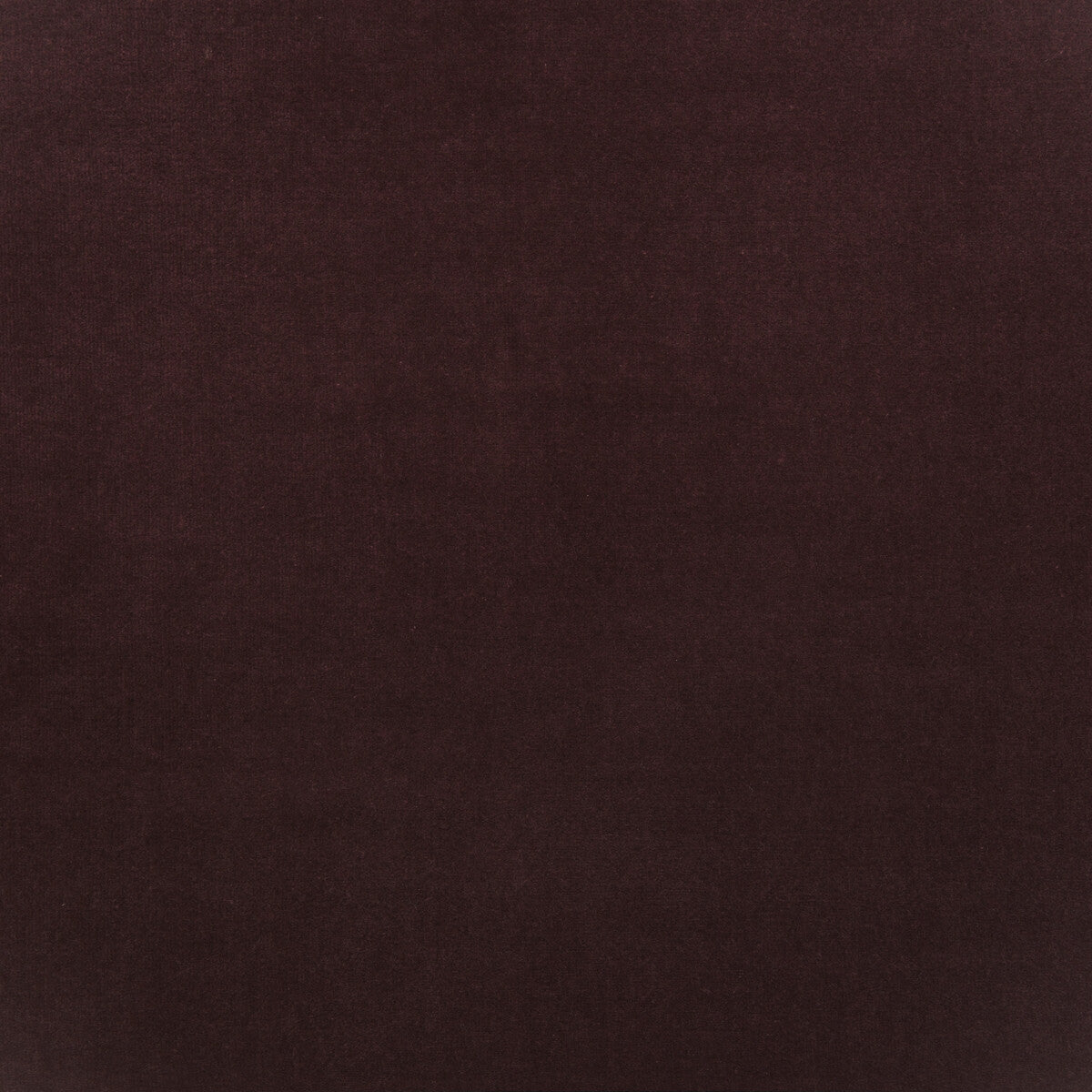 am100443100-medici-fig-kravet-couture