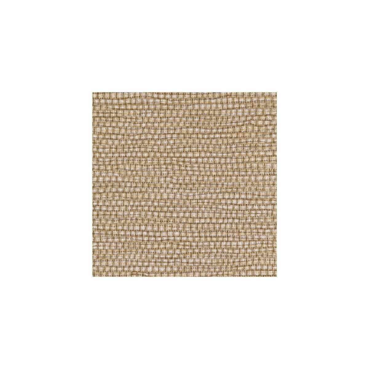 wpw1154wt0-panama-goldilocks-winfield-thybony - WINFIELD THYBONY Wallpaper