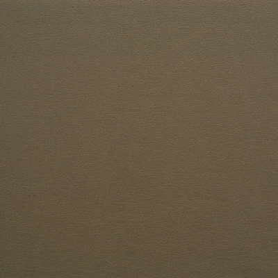 gato6210-kravet-design-gato-621-kravet-design
