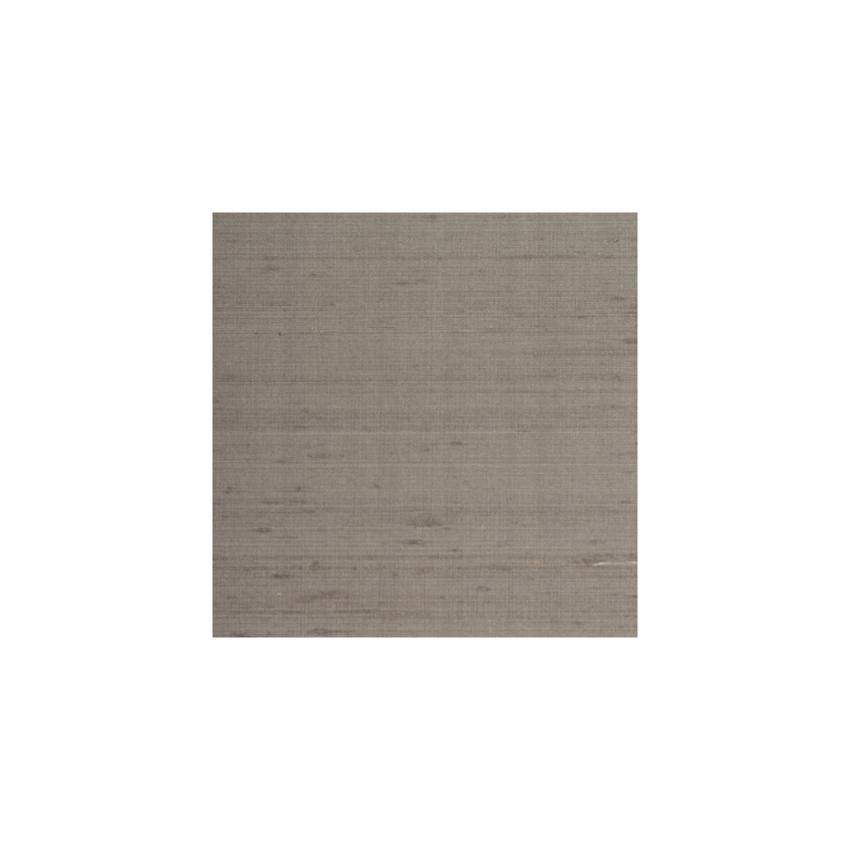 wte6048wt0-ettore-silk-ivy-league-winfield-thybony - WINFIELD THYBONY Wallpaper