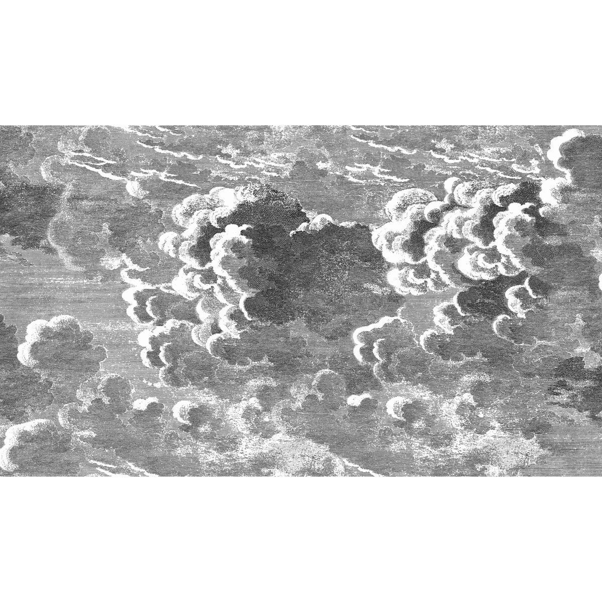 11428054cs0-nuvolette-blackwhite-cole-son - COLE & SON Wallpaper