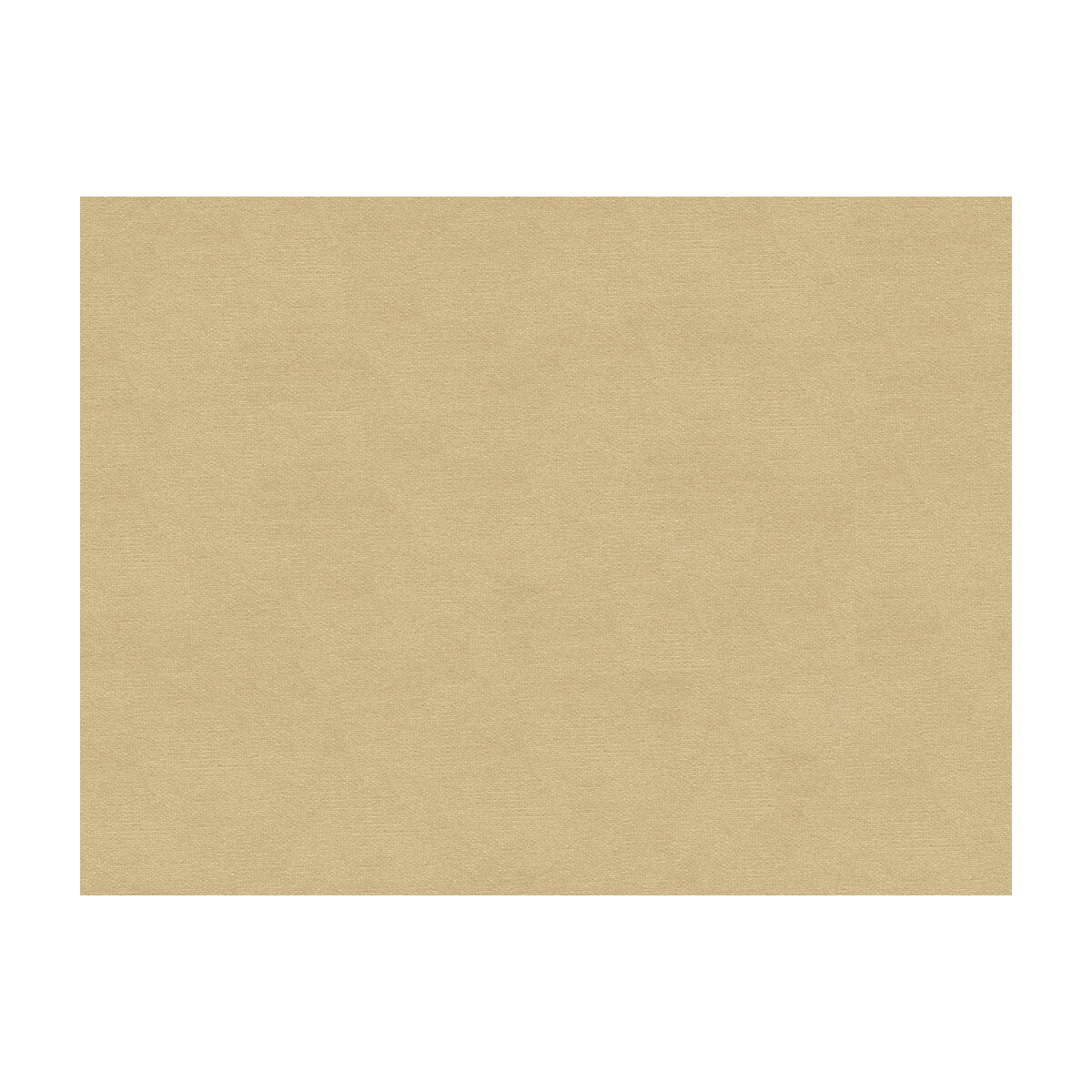 br-897790050-lubeck-cotton-velvet-oyster-brunschwig-fils - BRUNSCHWIG & FILS Fabric