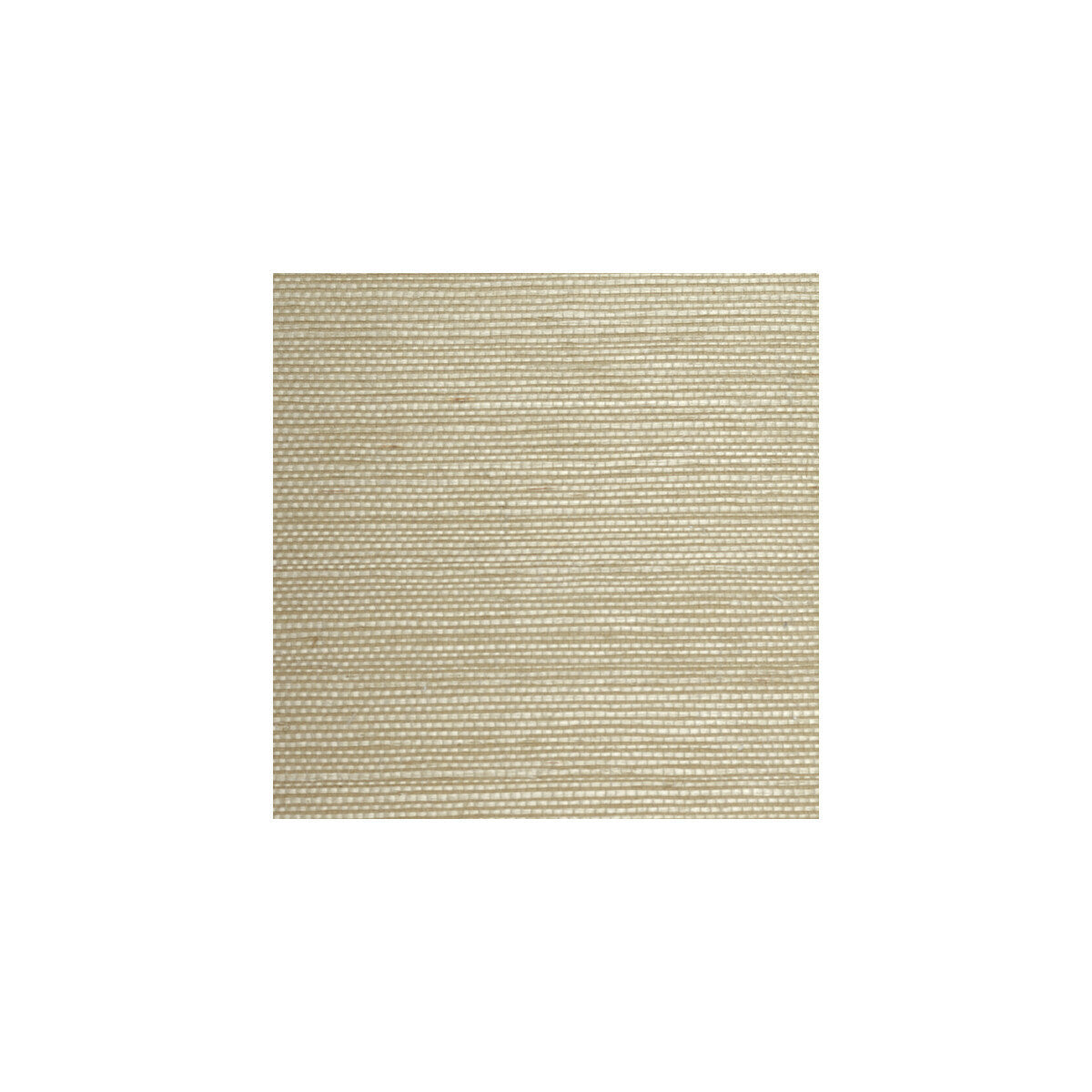 wbg5109wt0-plain-grounds-0-winfield-thybony - WINFIELD THYBONY Wallpaper