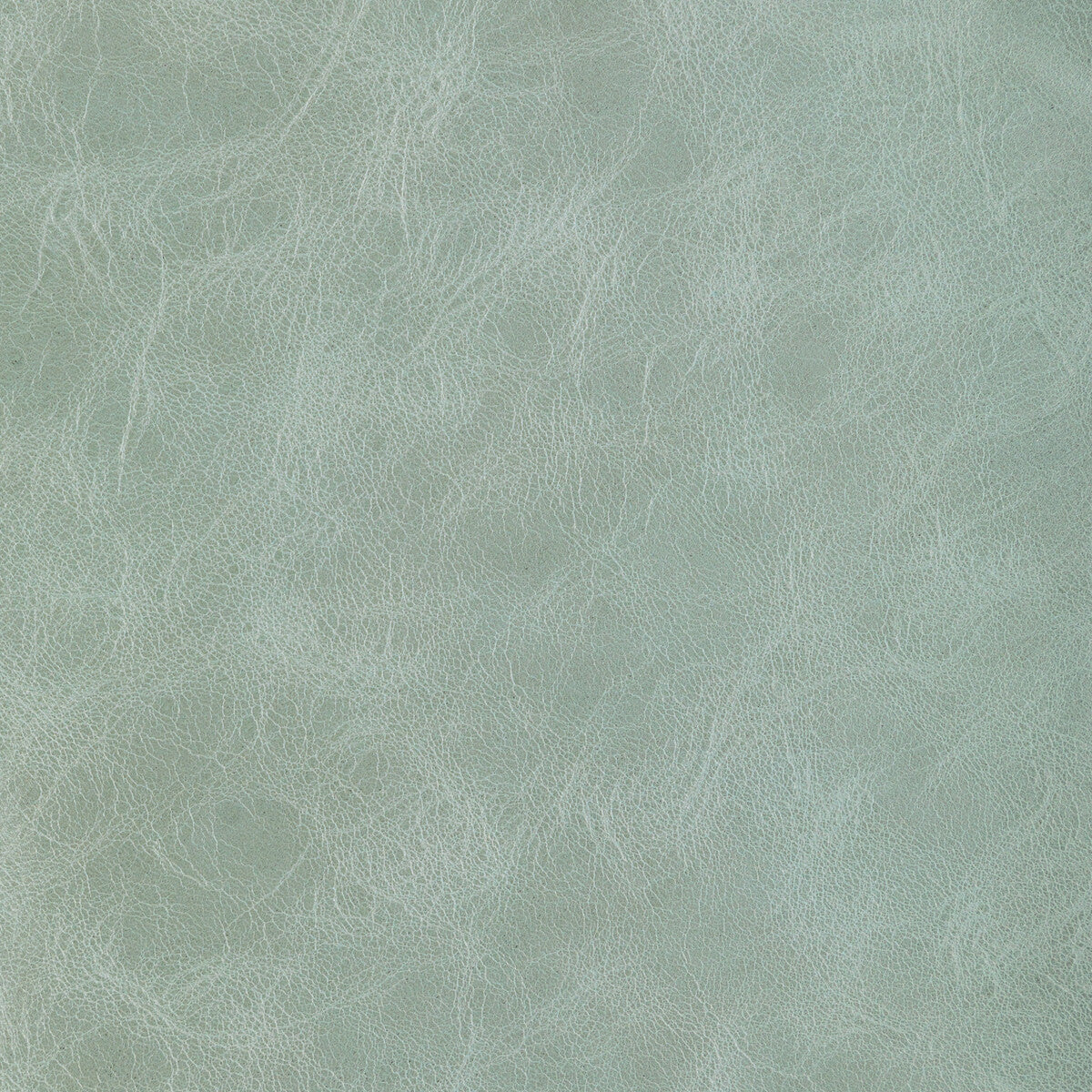l-brantleysage0-kravet-design-l-brantley-sage-kravet-design