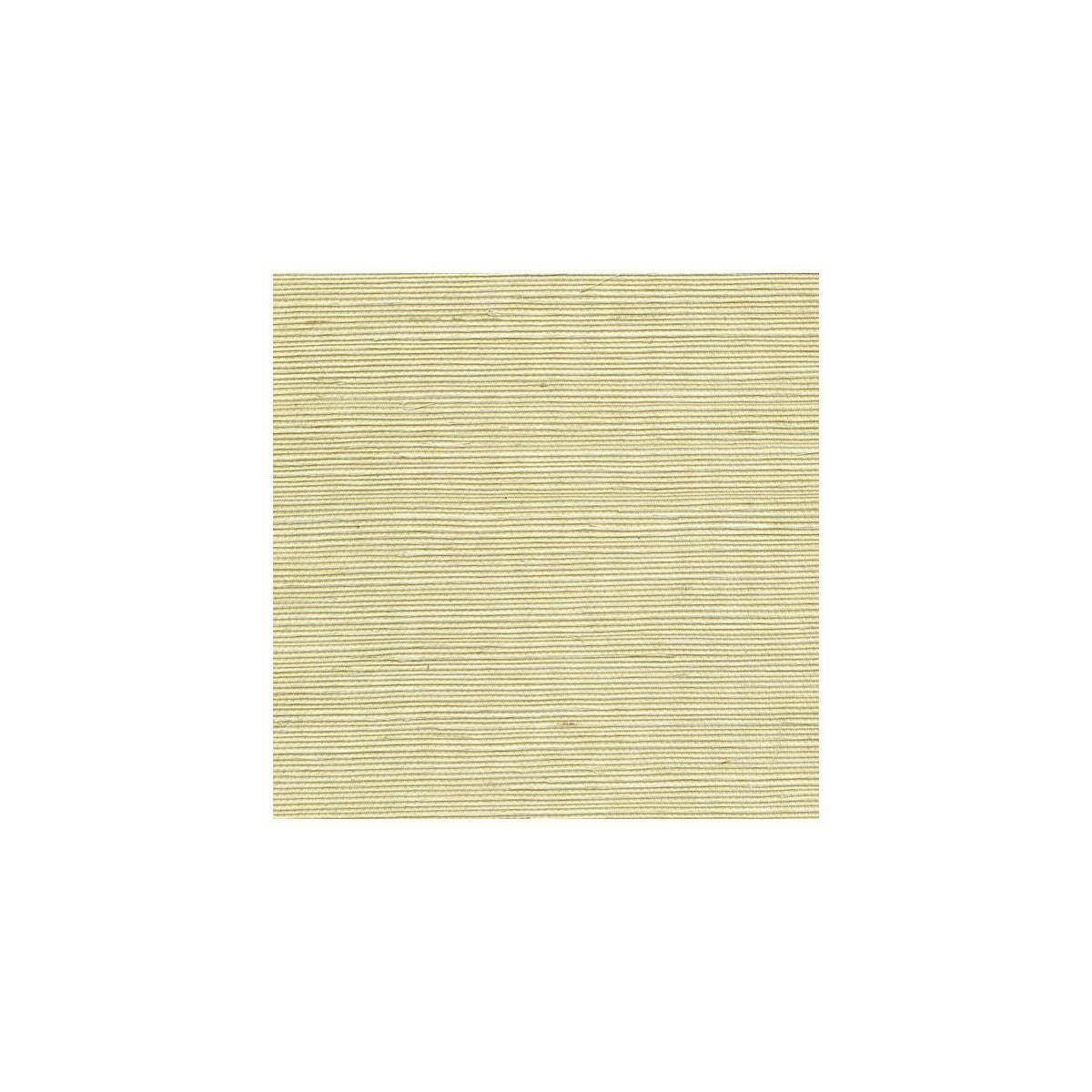 wss4525wt0-sisal-limeaid-winfield-thybony - WINFIELD THYBONY Wallpaper