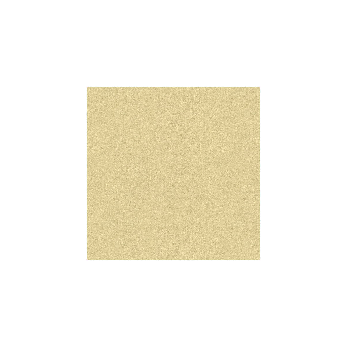ultrasuede1611bb0-ultrasuede-1611bb-kravet-design