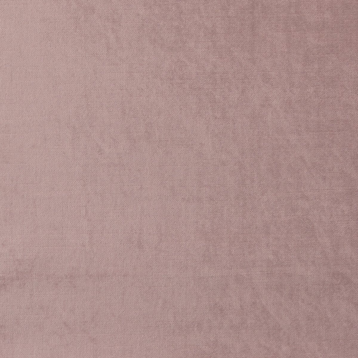 f106905cac0-allure-blush-clarke-and-clarke