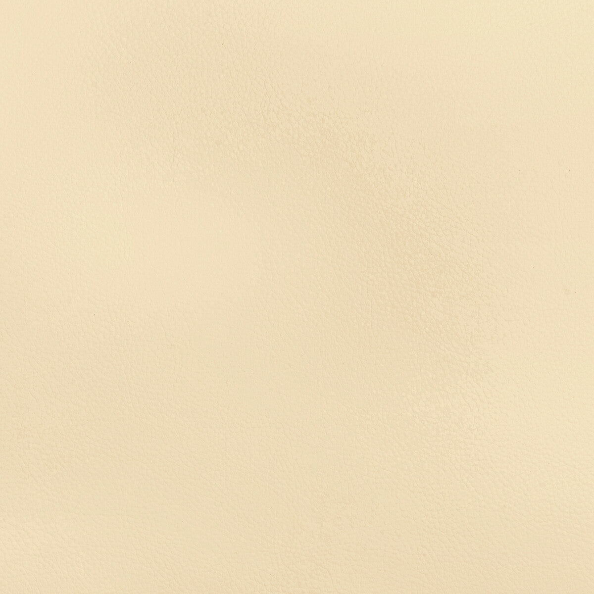 beech10-kravet-design-beech-1-kravet-design