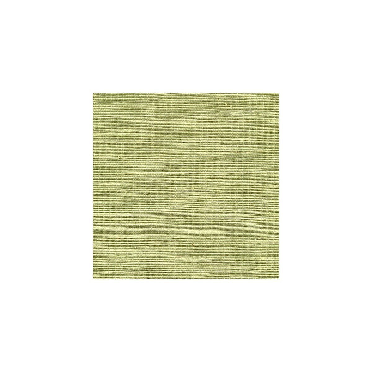 wss4530wt0-sisal-pea-pod-winfield-thybony