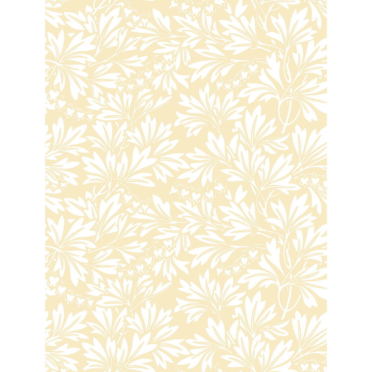 8811046cs0-dialytra-yellow-cole-son