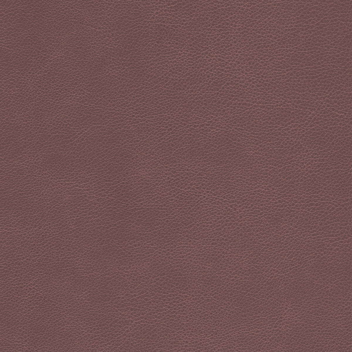 l-cimarronwhiskey0-kravet-design-l-cimarron-whiskey-kravet-design