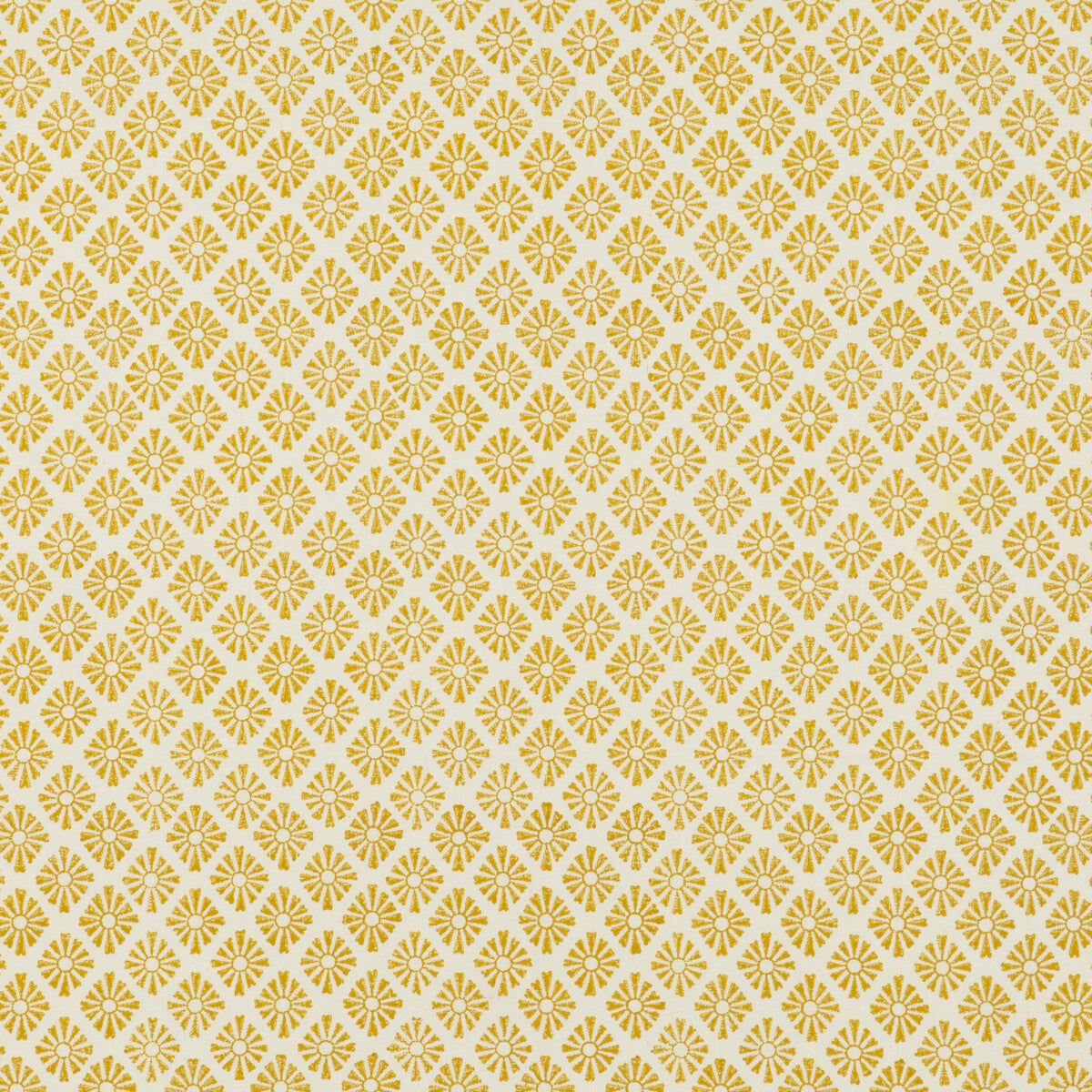 pp5047640-sunburst-yellow-baker-lifestyle
