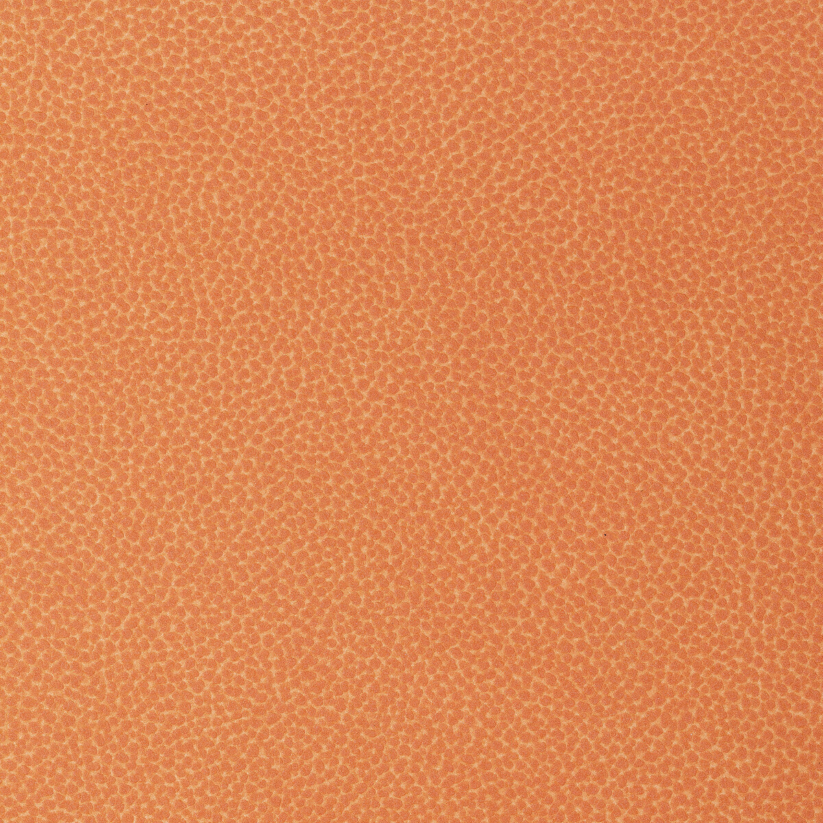 sweetgum120-kravet-design-sweetgum-12-kravet-design