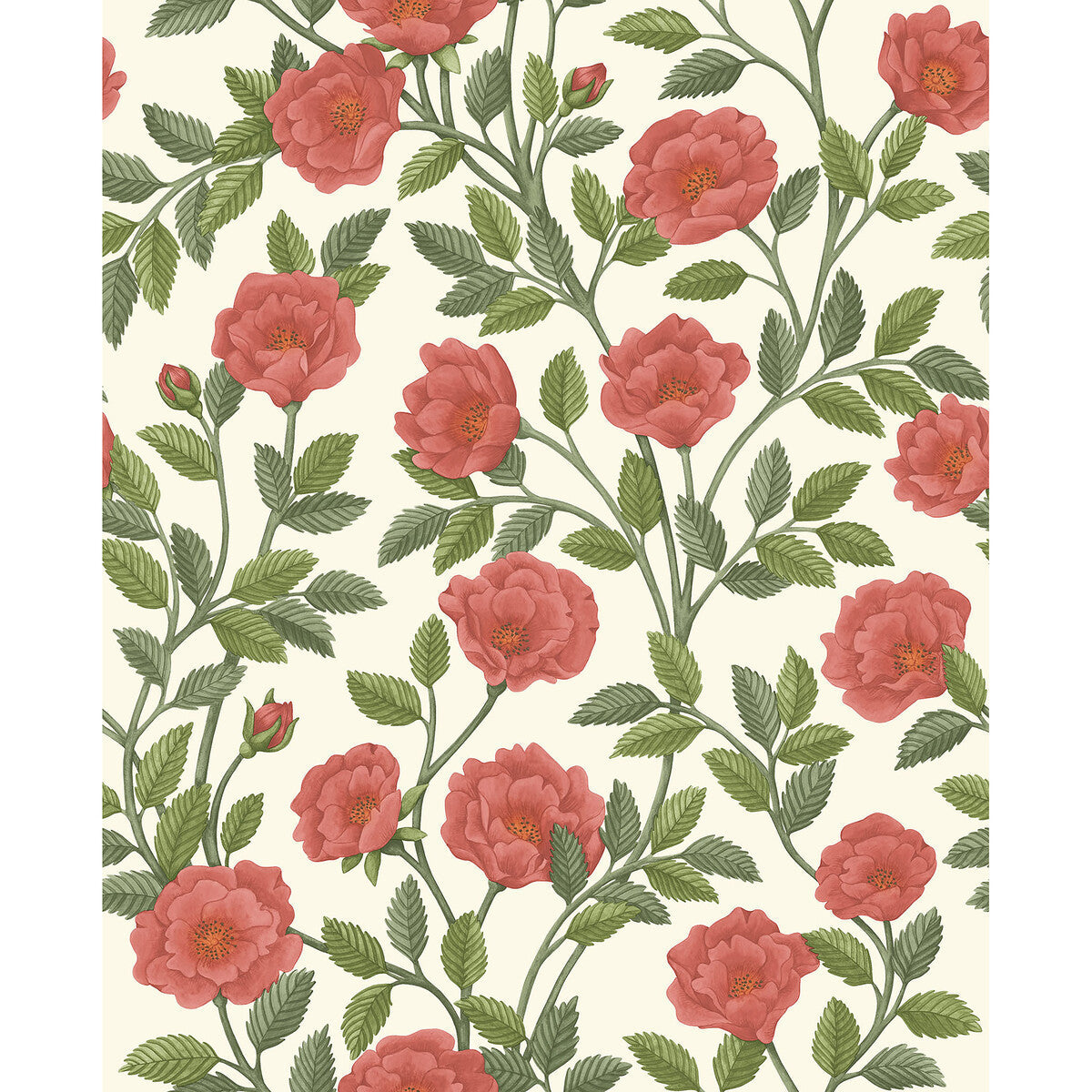 1187013cs0-hampton-roses-rsgrnpmnt-cole-son - COLE & SON Wallpaper
