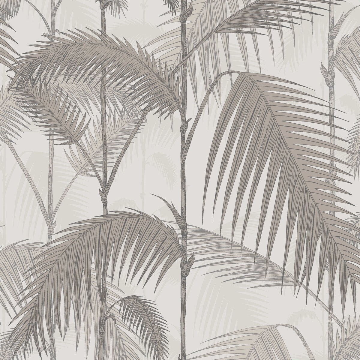 1121004cs0-palm-jungle-stonetaupe-cole-son - COLE & SON Wallpaper