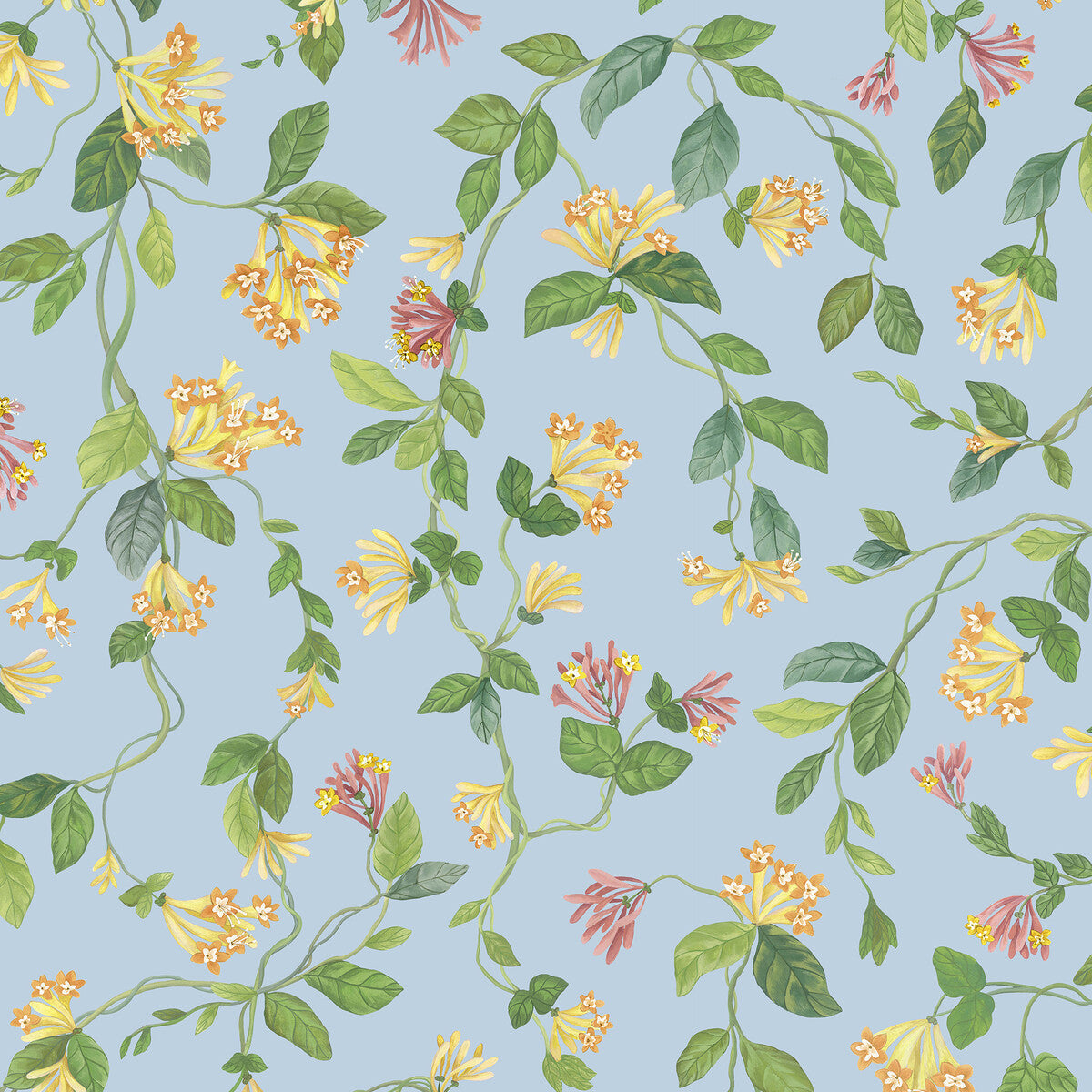 1243018cs0-flora-blueorange-cole-son - COLE & SON Wallpaper