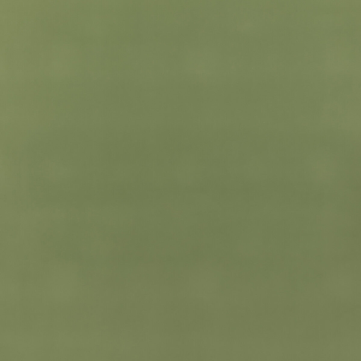 bf110407350-baker-house-fr-velvet-grass-g-p-j-baker