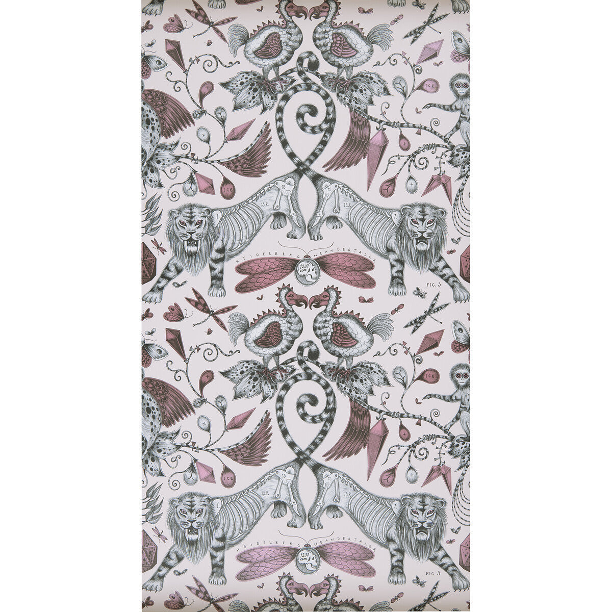 w010005cac0-extinct-pink-clarke-and-clarke - CLARKE AND CLARKE Wallpaper