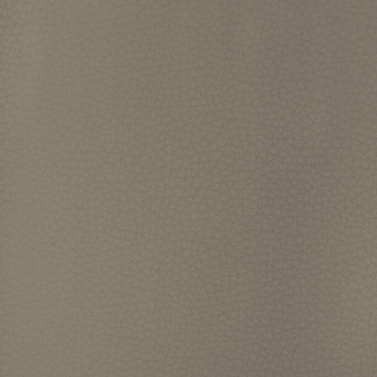 areni110-kravet-design-areni-11-kravet-design